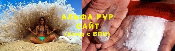 крисы Майский