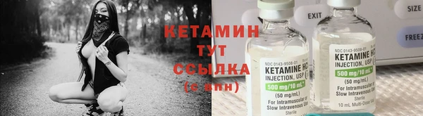 крисы Майский