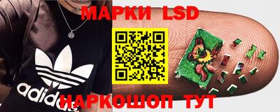 spice Донецк